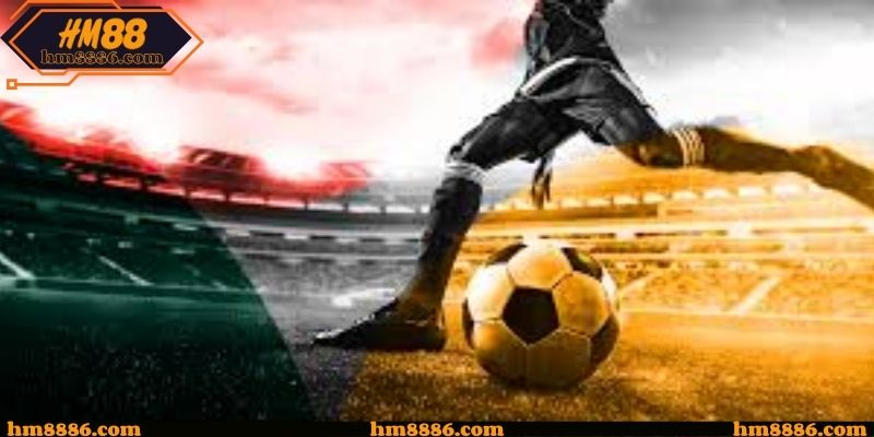 Giá trị dài hạn khi theo dõi cá cược la liga